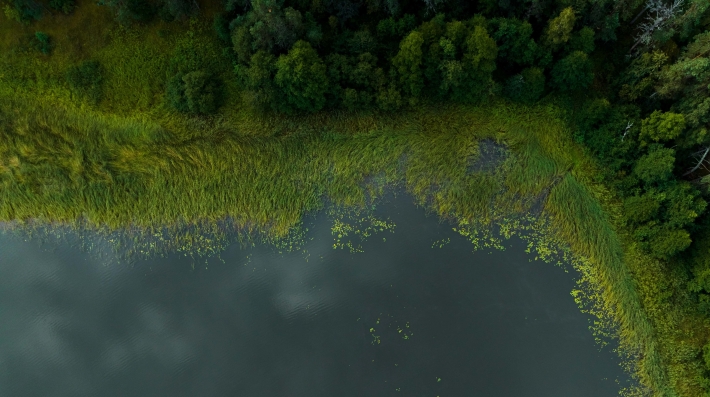 Peatlands surrounded by body of water