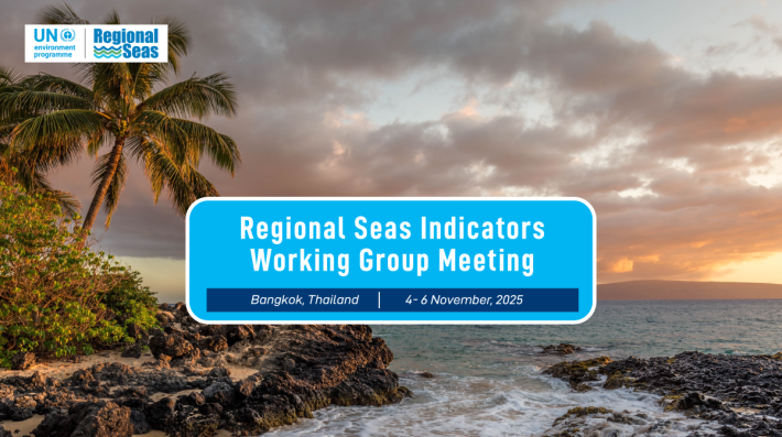 Regional Seas Programme