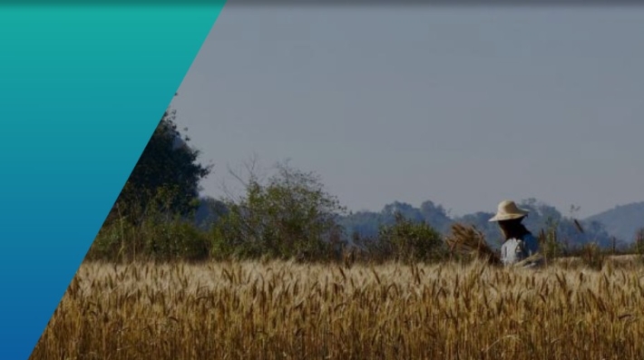 A field with one farmer