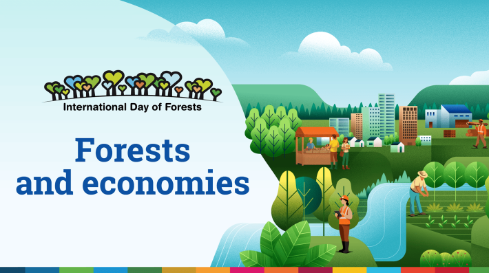International Day of Forests