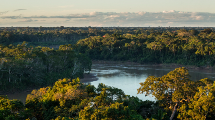 Peatlands in the Amazon, Peru. 