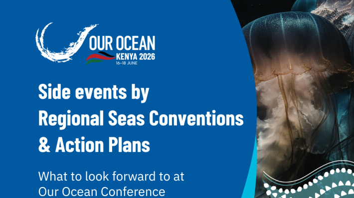 Regional Seas Programme