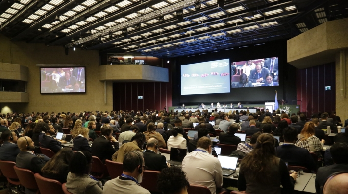 Plenary Session of the ISP-CWP