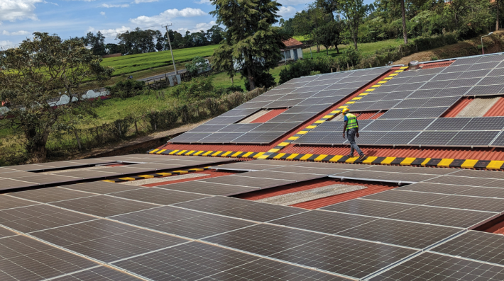 A worker crosses a roof full of solar panels