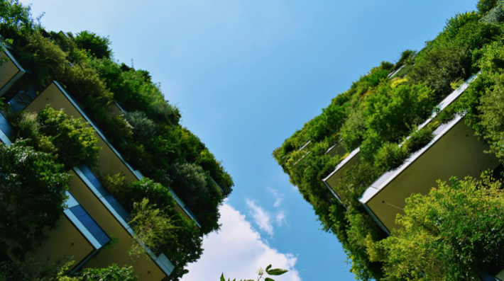 Green city