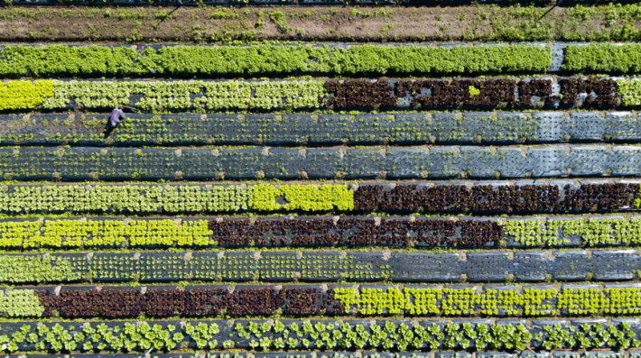 Food Systems