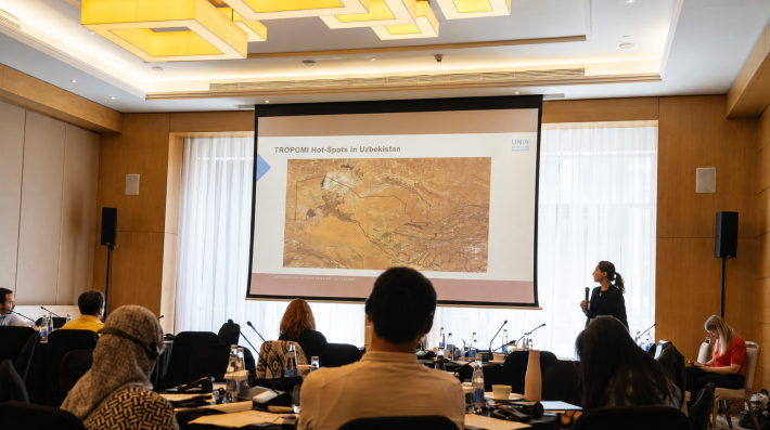IMEO Workshop in Uzbekistan
