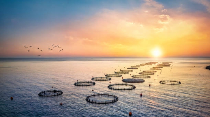 aquaculture