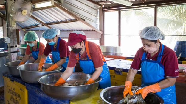 Workers cleaning fish at a processing factory