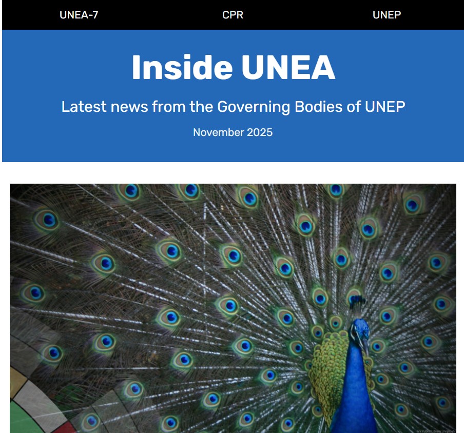 Screenshot of the second November issue