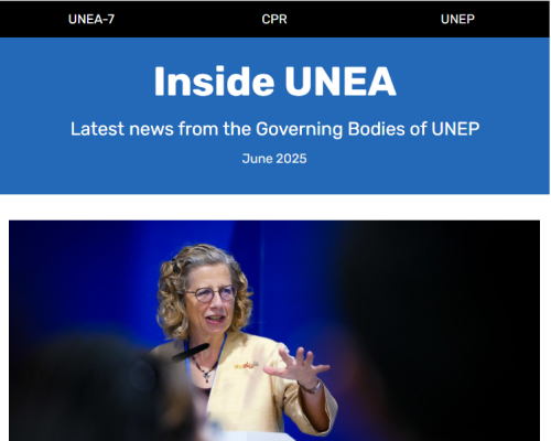 Screenshot of the second newsletter