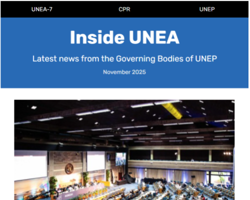 Screenshot of the November issue